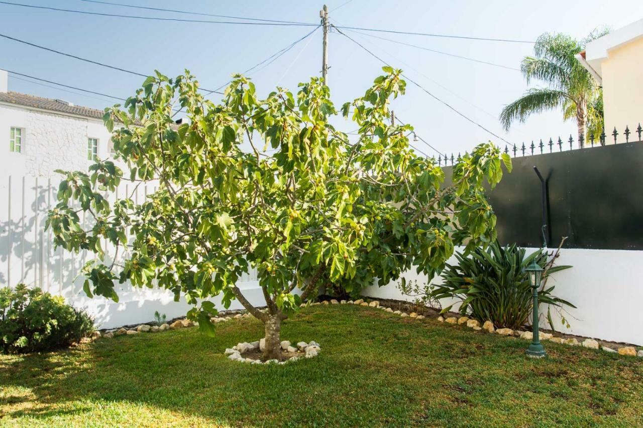 Casa Da Quintinha - Villa With A Pool Sesimbra Extérieur photo